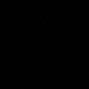 Meet your Posher, Chandler